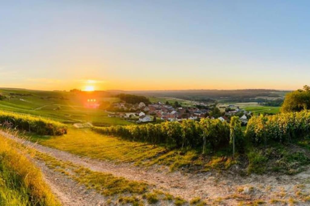 Cottage, Lodge & Spa Prouilly Екстер'єр фото