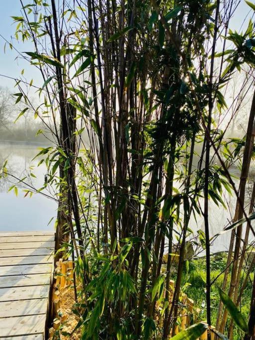 Cottage, Lodge & Spa Prouilly Екстер'єр фото